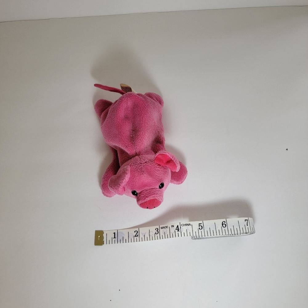 🥳  Lil Piggy - Picture 4 of 4